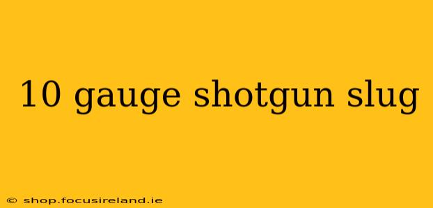 10 gauge shotgun slug