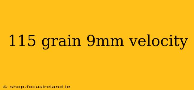 115 grain 9mm velocity