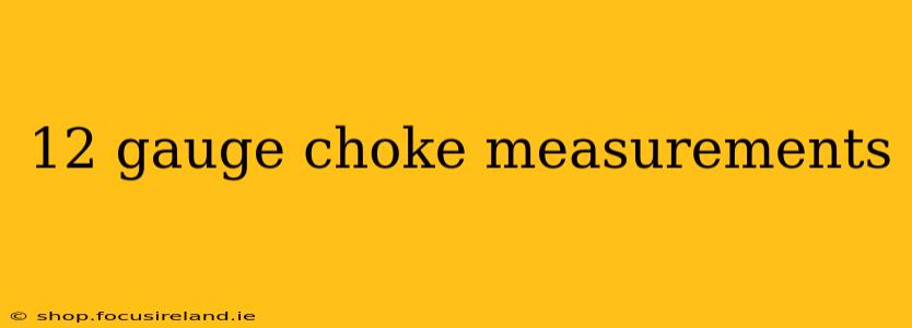 12 gauge choke measurements