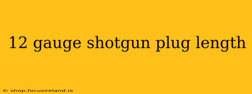 12 gauge shotgun plug length