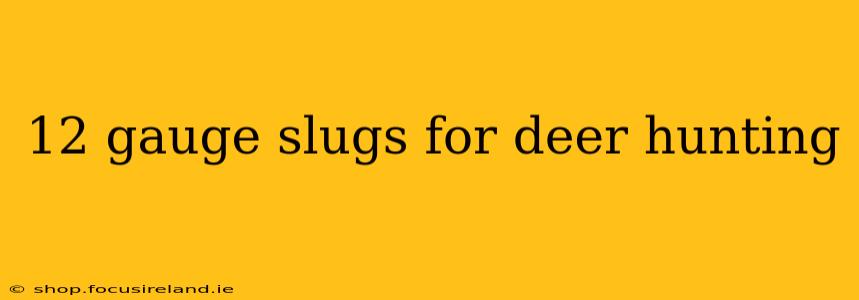 12 gauge slugs for deer hunting