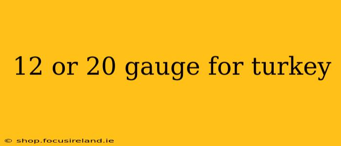 12 or 20 gauge for turkey
