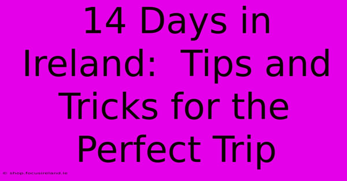 14 Days In Ireland:  Tips And Tricks For The Perfect Trip