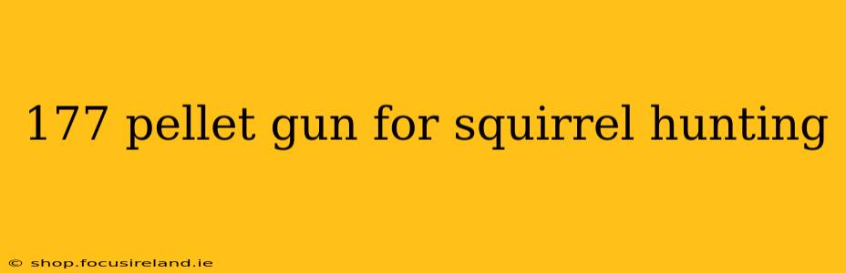177 pellet gun for squirrel hunting