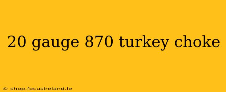 20 gauge 870 turkey choke