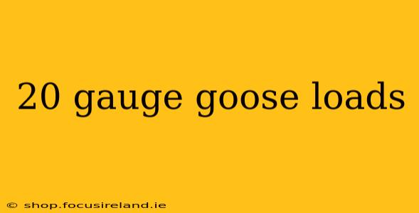 20 gauge goose loads