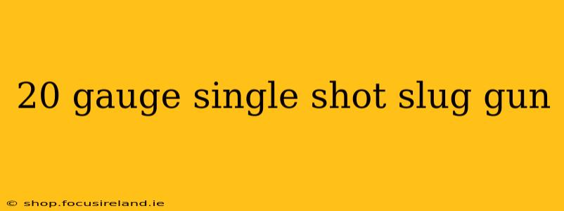 20 gauge single shot slug gun