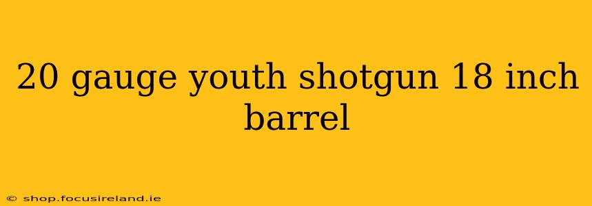 20 gauge youth shotgun 18 inch barrel