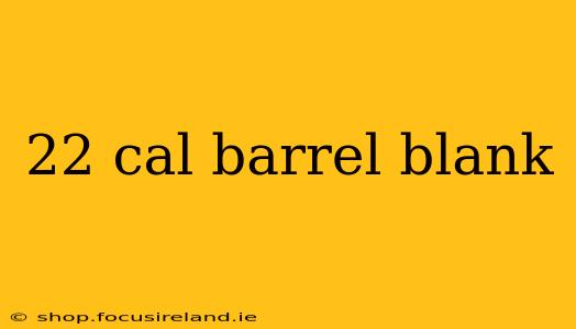 22 cal barrel blank