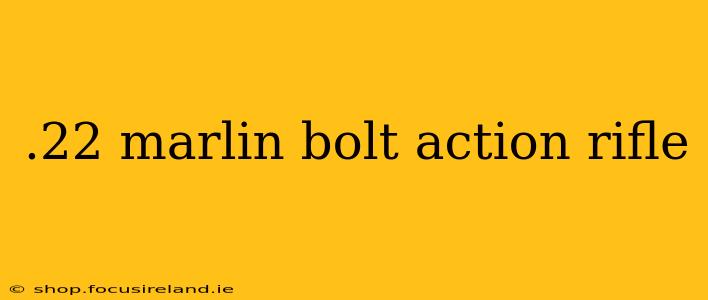 .22 marlin bolt action rifle