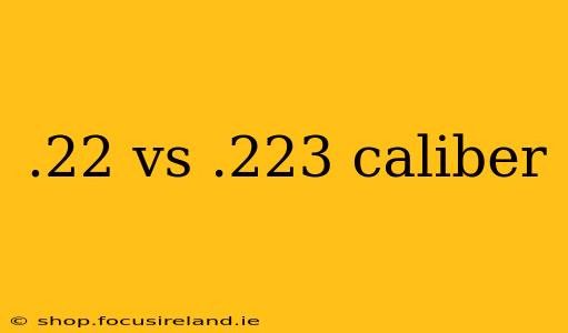 .22 vs .223 caliber