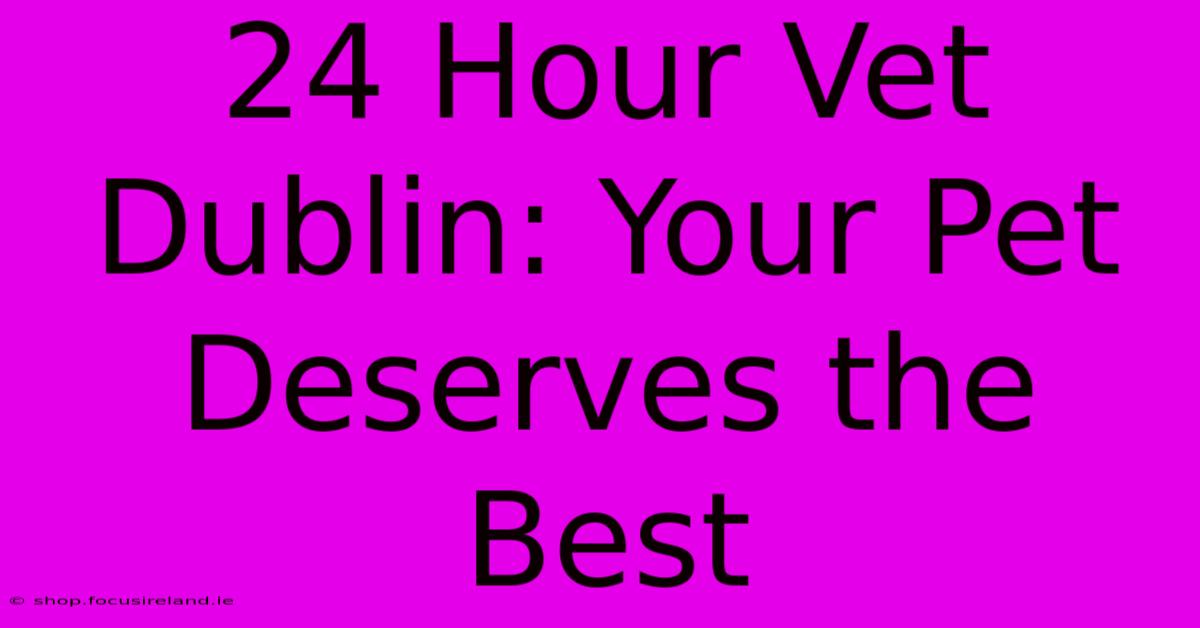 24 Hour Vet Dublin: Your Pet Deserves The Best