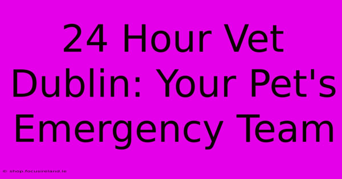 24 Hour Vet Dublin: Your Pet's Emergency Team