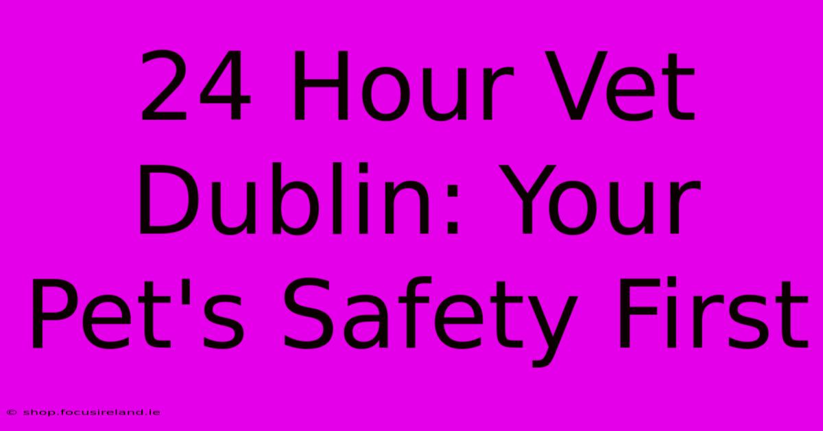 24 Hour Vet Dublin: Your Pet's Safety First