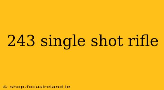 243 single shot rifle