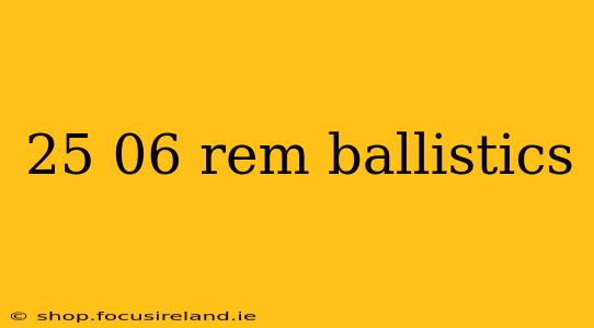 25 06 rem ballistics