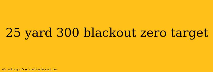 25 yard 300 blackout zero target