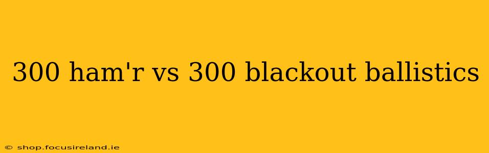 300 ham'r vs 300 blackout ballistics