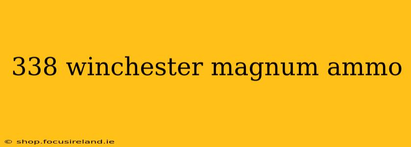 338 winchester magnum ammo
