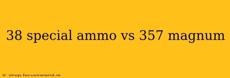 38 special ammo vs 357 magnum
