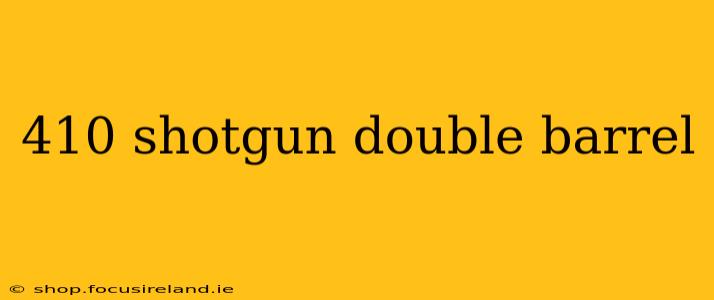 410 shotgun double barrel