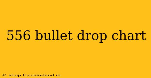 556 bullet drop chart