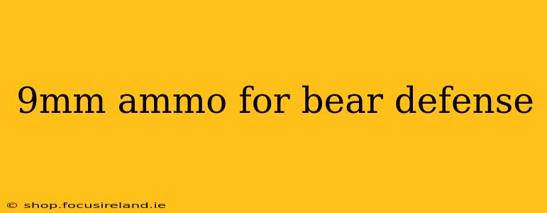9mm ammo for bear defense
