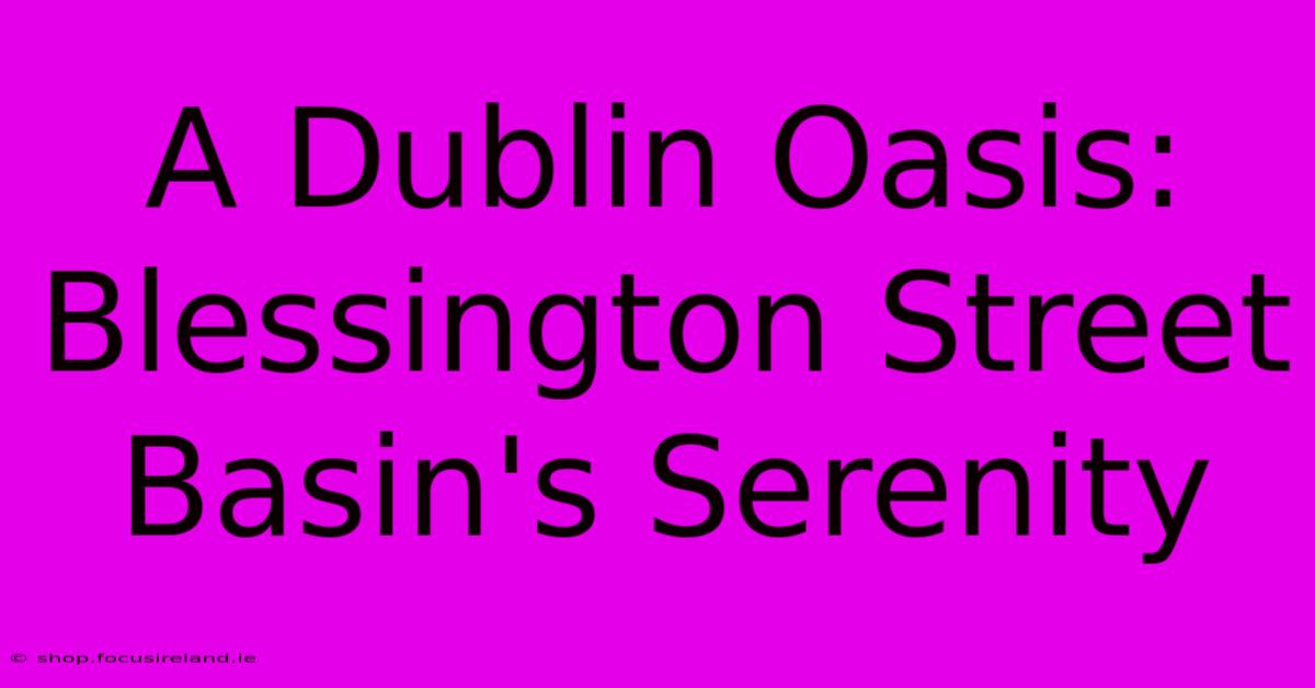 A Dublin Oasis: Blessington Street Basin's Serenity