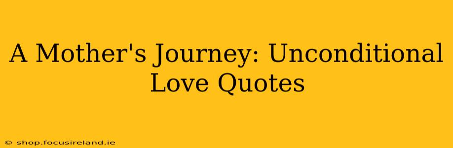 A Mother's Journey: Unconditional Love Quotes