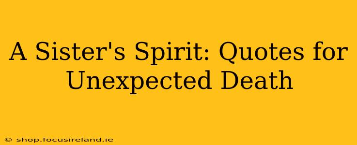 A Sister's Spirit: Quotes for Unexpected Death