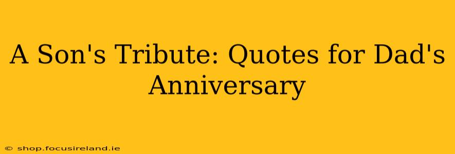 A Son's Tribute: Quotes for Dad's Anniversary