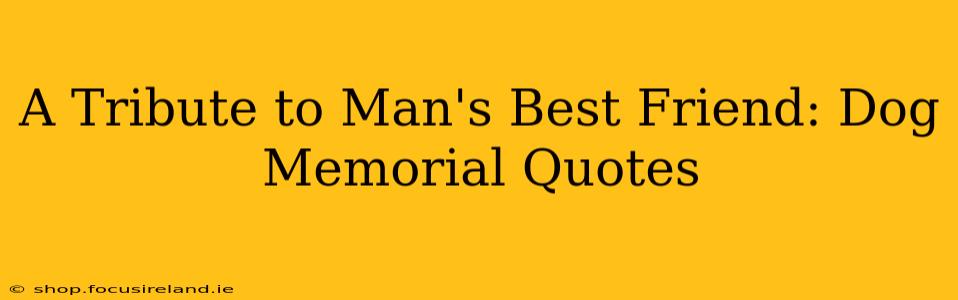 A Tribute to Man's Best Friend: Dog Memorial Quotes