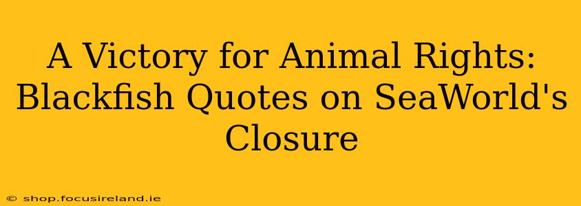 A Victory for Animal Rights: Blackfish Quotes on SeaWorld's Closure