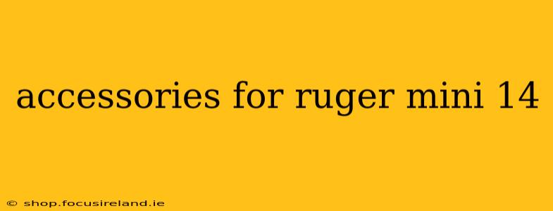 accessories for ruger mini 14