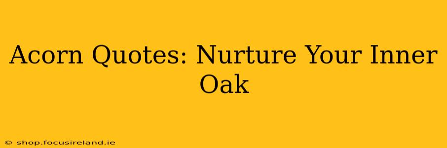 Acorn Quotes: Nurture Your Inner Oak
