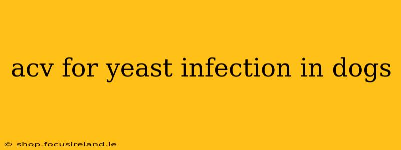 acv for yeast infection in dogs