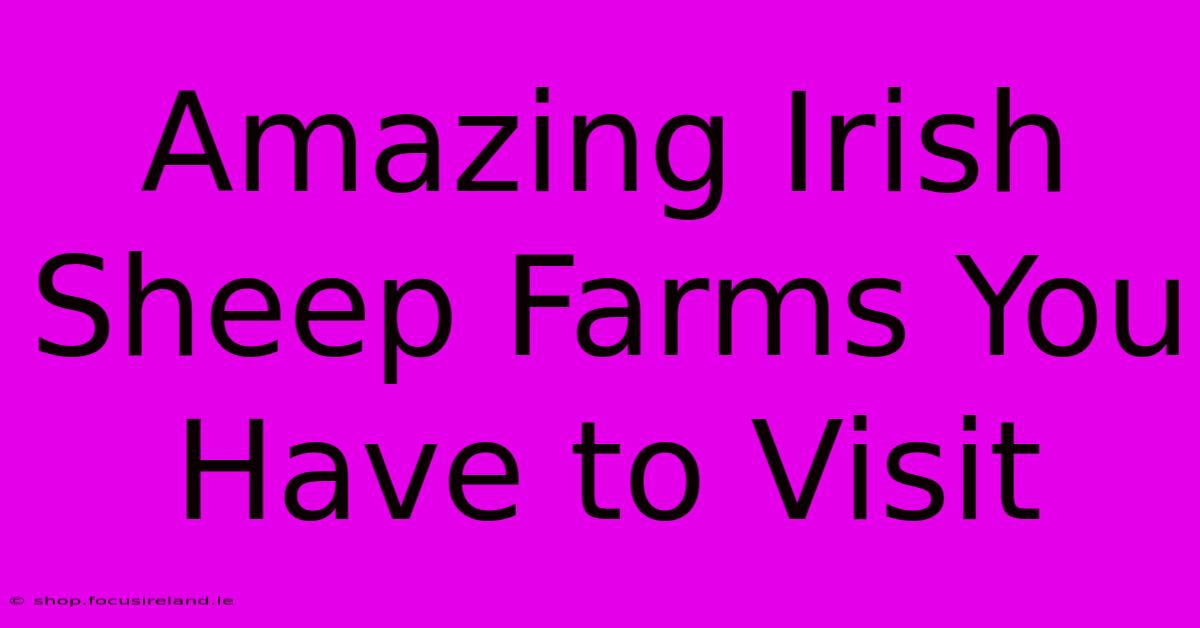 Amazing Irish Sheep Farms You Have To Visit