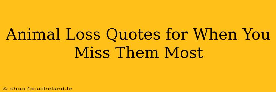 Animal Loss Quotes for When You Miss Them Most