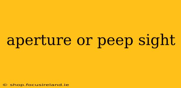 aperture or peep sight