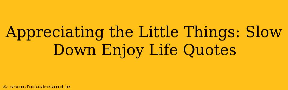 Appreciating the Little Things: Slow Down Enjoy Life Quotes