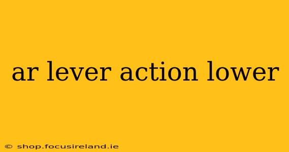 ar lever action lower