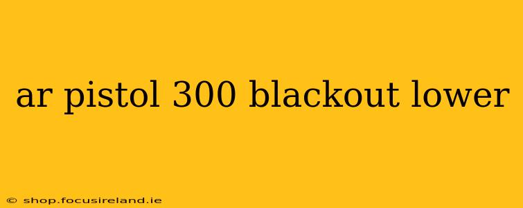 ar pistol 300 blackout lower