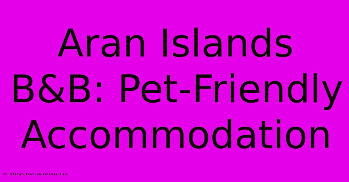 Aran Islands B&B: Pet-Friendly Accommodation