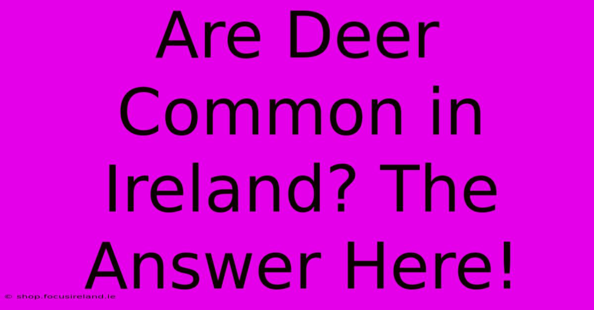 Are Deer Common In Ireland? The Answer Here!