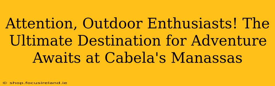 Attention, Outdoor Enthusiasts! The Ultimate Destination for Adventure Awaits at Cabela's Manassas