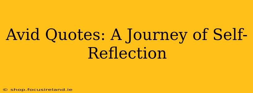 Avid Quotes: A Journey of Self-Reflection