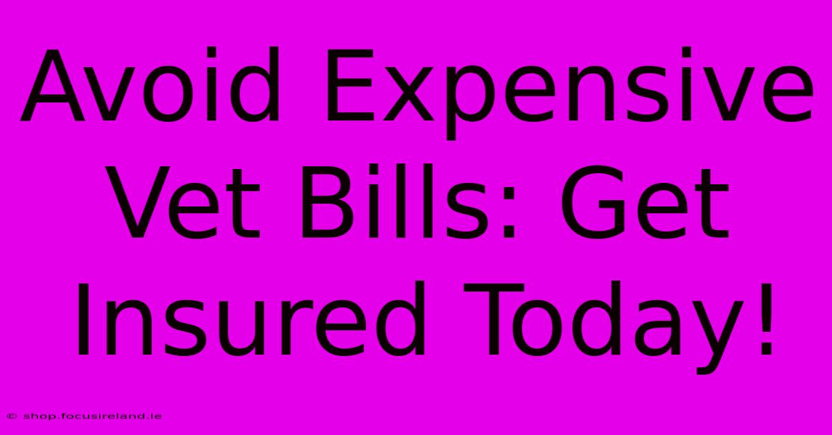 Avoid Expensive Vet Bills: Get Insured Today!