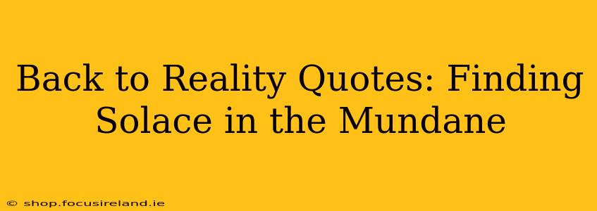 Back to Reality Quotes: Finding Solace in the Mundane