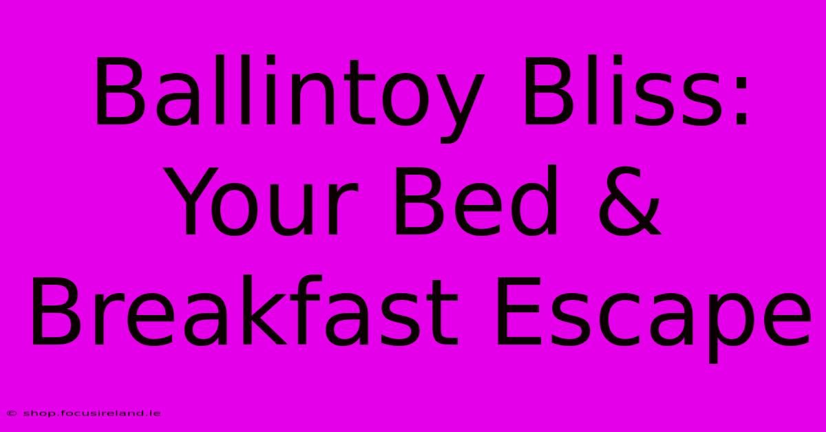 Ballintoy Bliss: Your Bed & Breakfast Escape