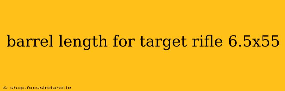 barrel length for target rifle 6.5x55